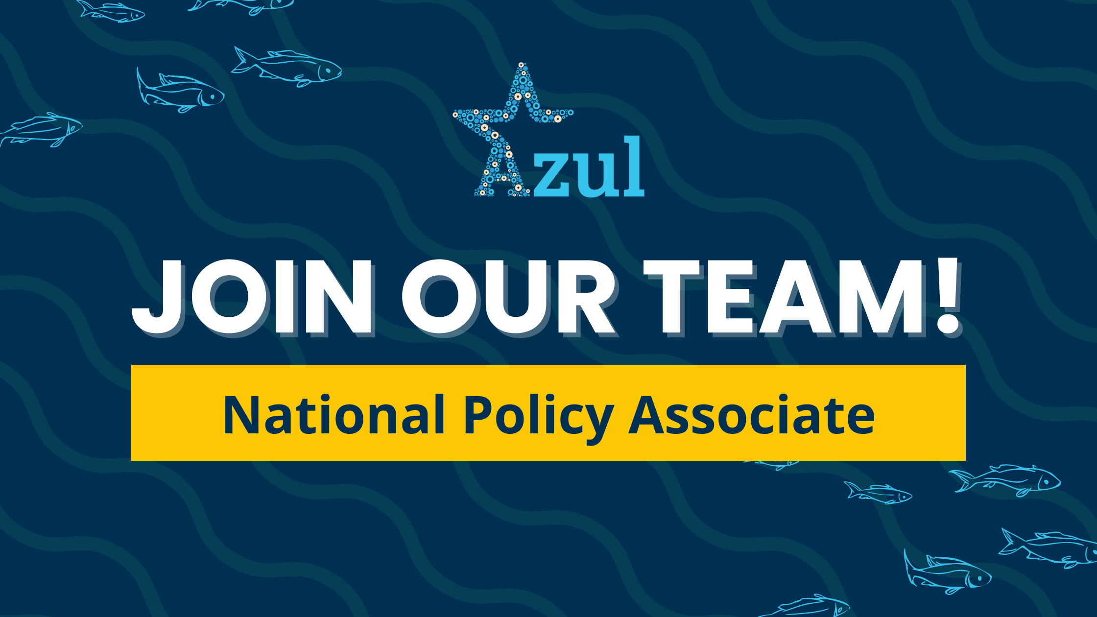 Join Our Team: Azul is Hiring a National Policy Associate