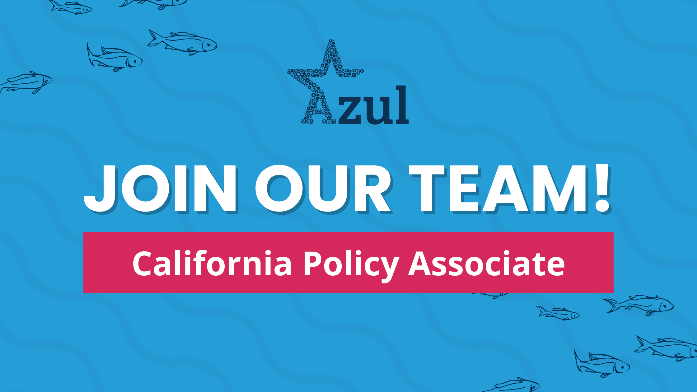 Join Our Team: California Policy Associate