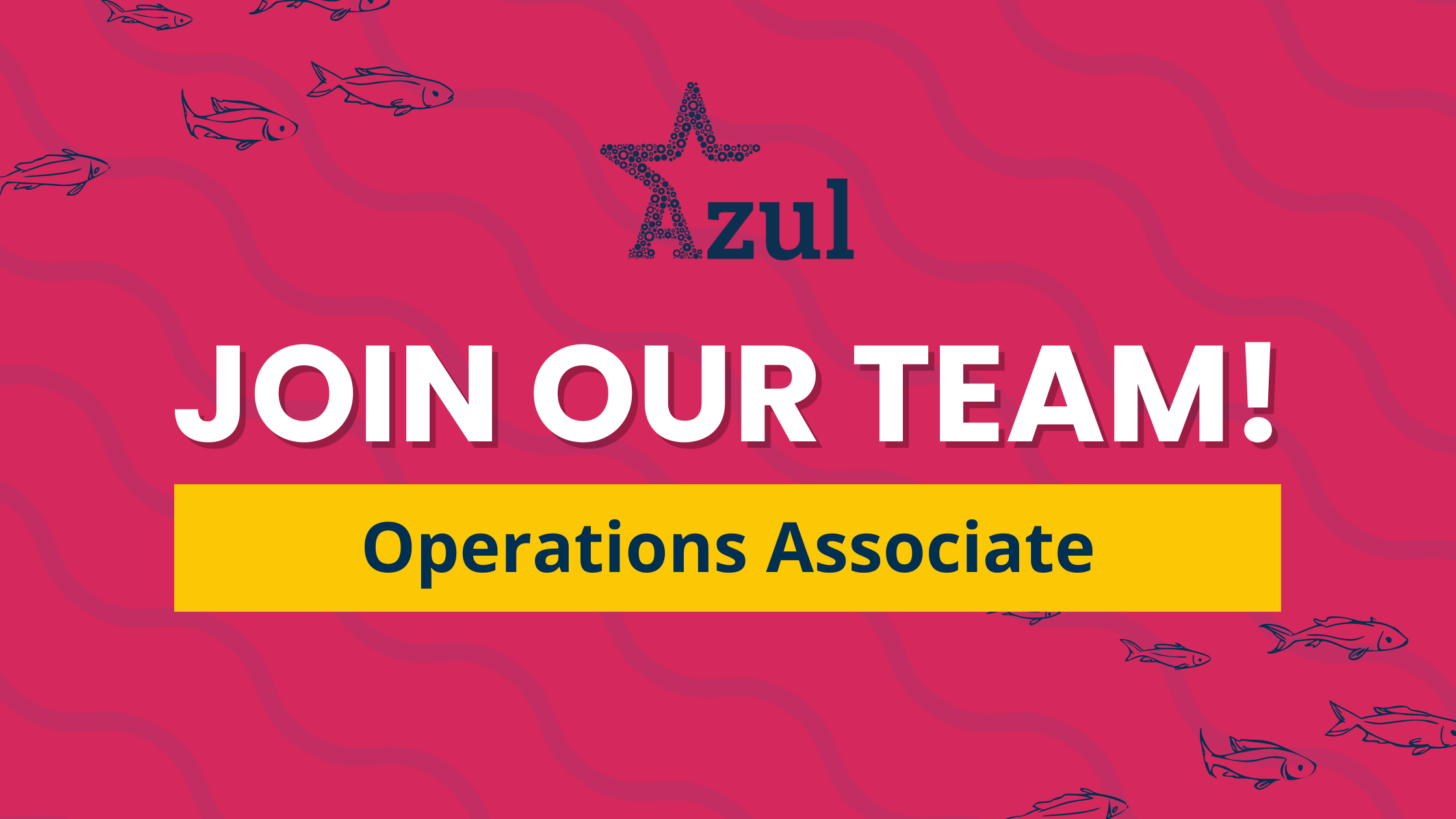 Join Our Team as an Operations Associate