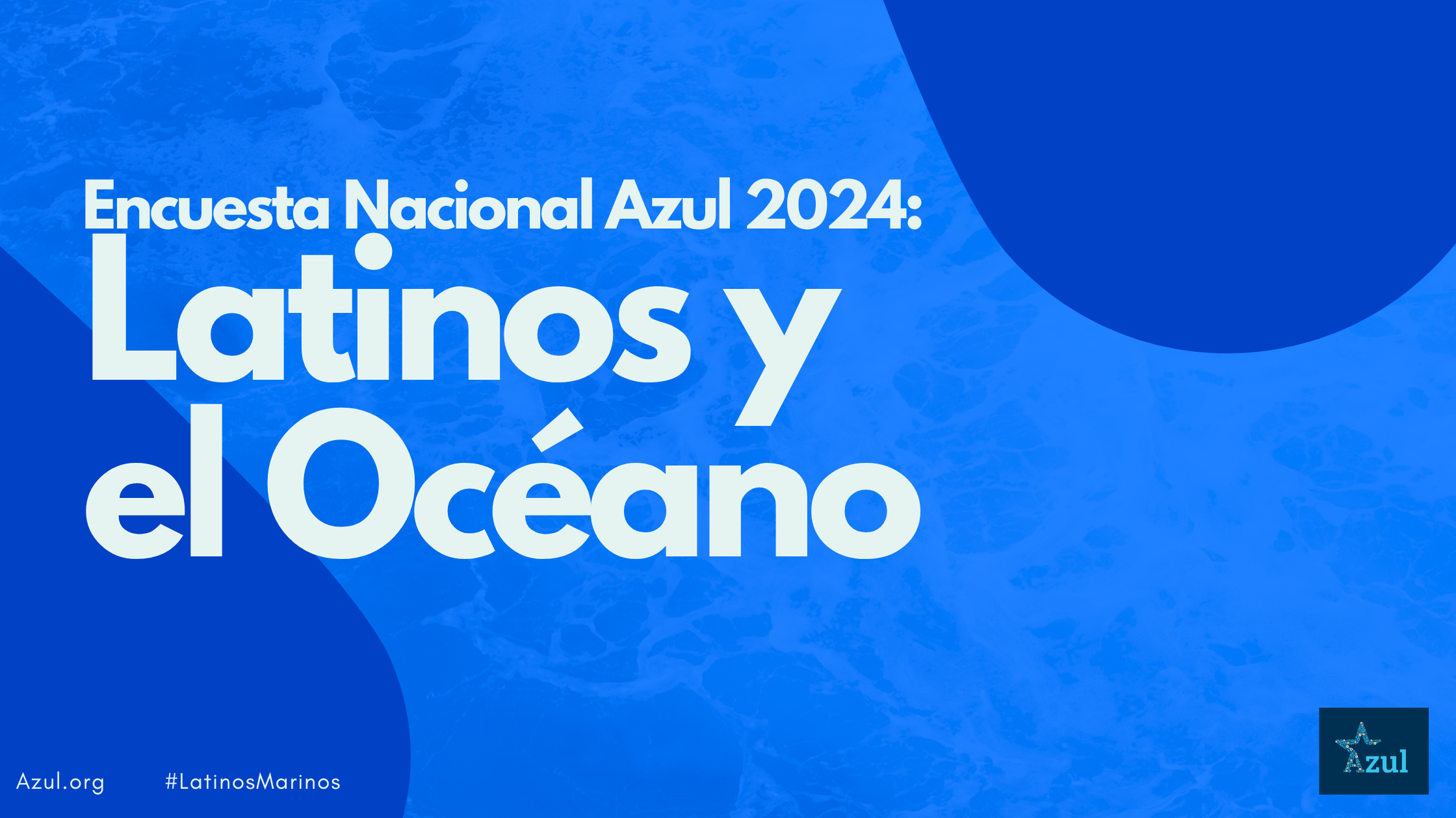 Los resultados de encuesta reciente a nivel nacional muestra latinos motivados para elegir candidatos a favor de la conservación oceánica.